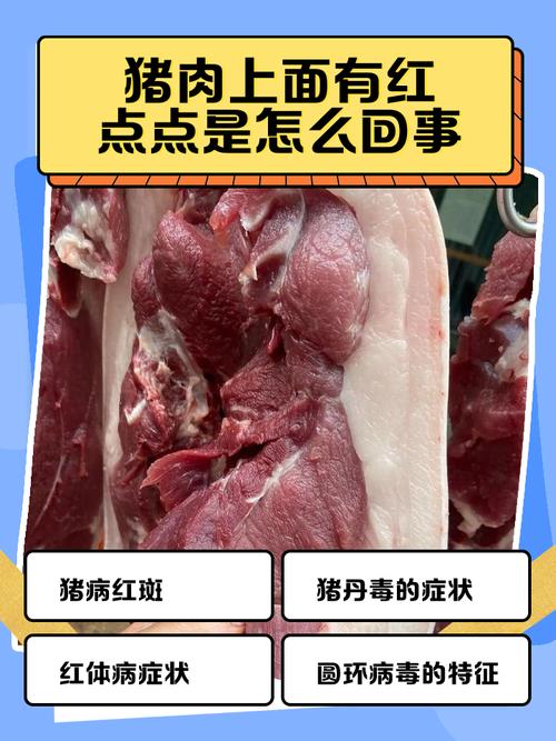 最近猪肉疫情最新消息，猪肉还能放心吃吗？