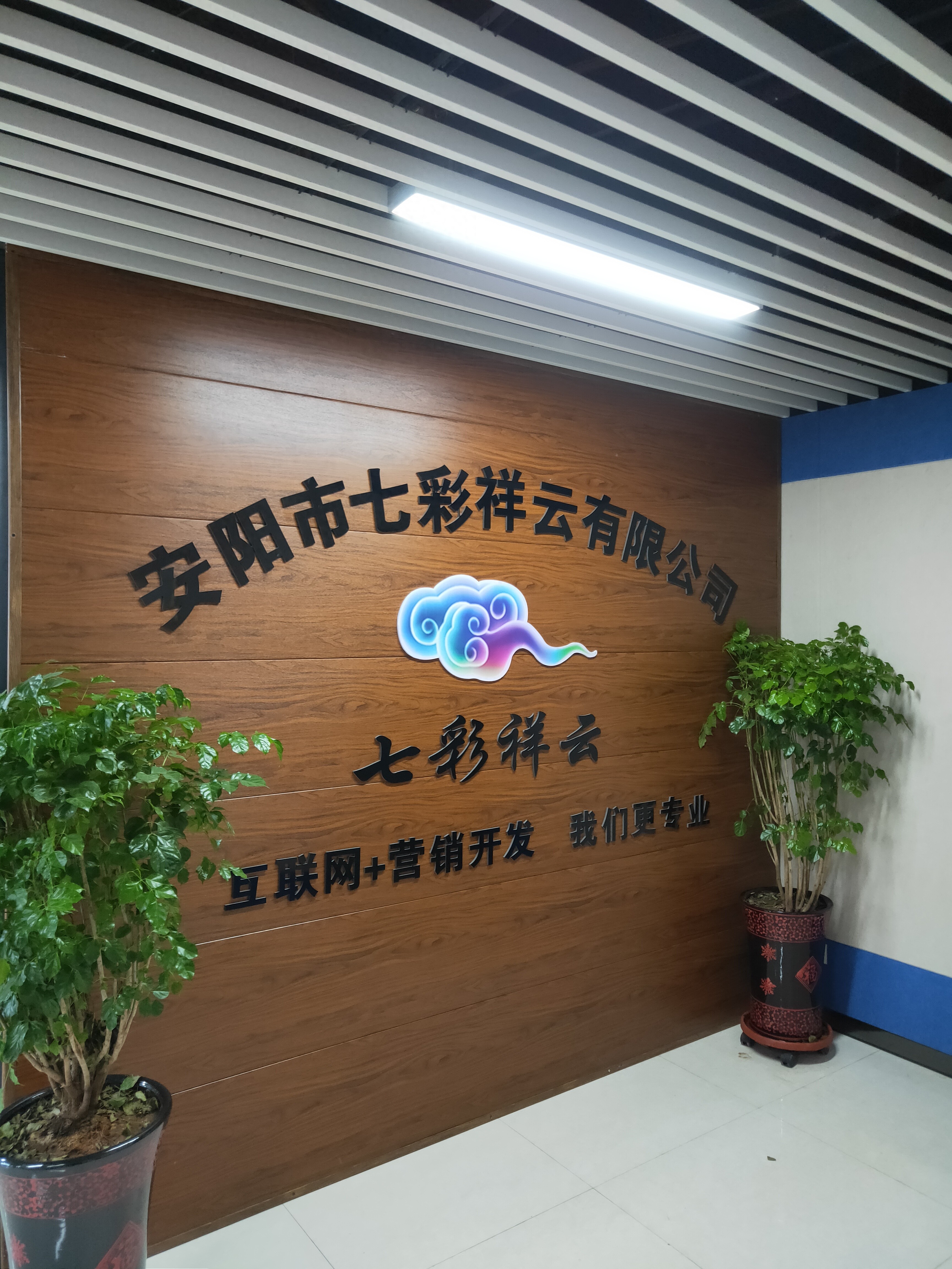 专业短视频运营推广公司，助企业借短视频营销脱颖而出