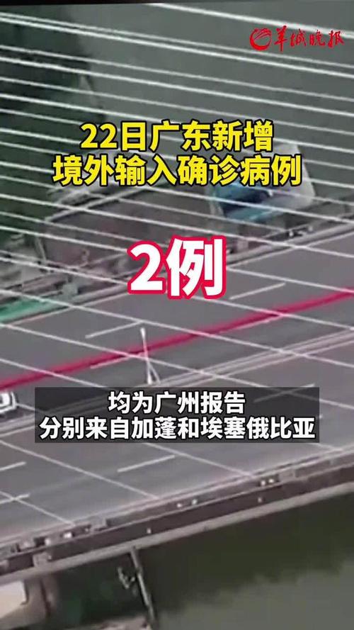 广东每日新增本土确诊病例、无症状感染者及境外输入病例情况