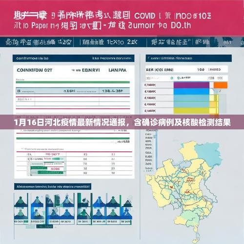 1月24日新增本土确诊18例涉6省市及石家庄新冠开始时间