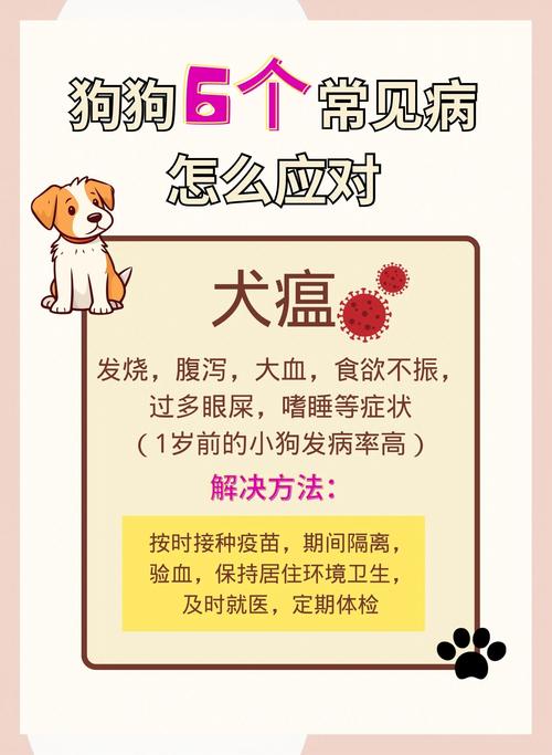 不幸：疫情下主人离世，狗狗苦守医院仨月；宠物趣事及疾病解答