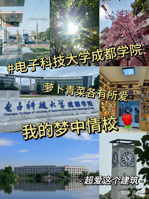 电子科技大学成都学院校区地址及邮编详情，速来了解